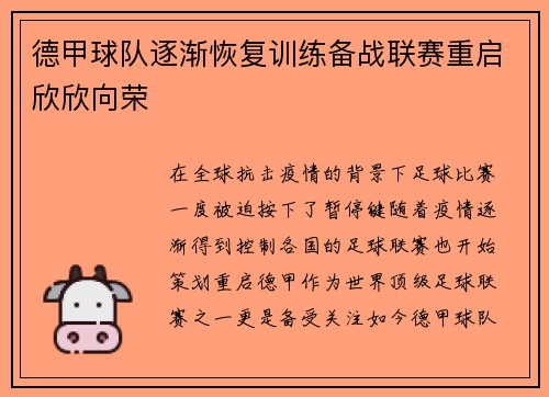 德甲球队逐渐恢复训练备战联赛重启欣欣向荣